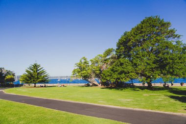 Sydney, Avustralya - 30 Aralık 2014: ayrıntılı olarak Sydney Cbd, liman ve Sydney Cbd gökdelenler ile bir park Kraliyet Botanik Bahçeleri