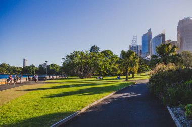 Sydney, Avustralya - 30 Aralık 2014: ayrıntılı olarak Sydney Cbd, liman ve Sydney Cbd gökdelenler ile bir park Kraliyet Botanik Bahçeleri