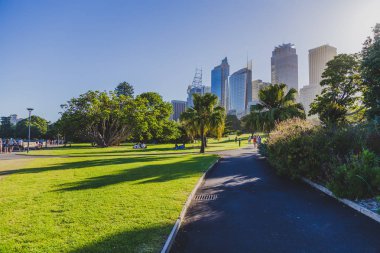 Sydney, Avustralya - 30 Aralık 2014: ayrıntılı olarak Sydney Cbd, liman ve Sydney Cbd gökdelenler ile bir park Kraliyet Botanik Bahçeleri