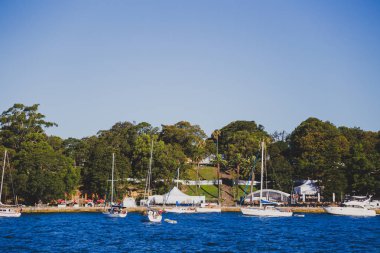 Sydney, Avustralya - 30 Aralık 2014: sahil görünümü üzerinden Kraliyet Botanik Bahçeleri olarak Sydney Cbd, liman ve Sydney Cbd gökdelenler bir Parkı
