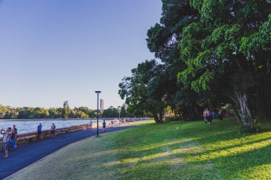 Sydney, Avustralya - 30 Aralık 2014: ayrıntılı olarak Sydney Cbd, liman ve Sydney Cbd gökdelenler ile bir park Kraliyet Botanik Bahçeleri