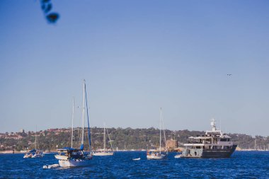 Sydney, Avustralya - 30 Aralık 2014: sahil görünümü üzerinden Kraliyet Botanik Bahçeleri olarak Sydney Cbd, liman ve Sydney Cbd gökdelenler bir Parkı