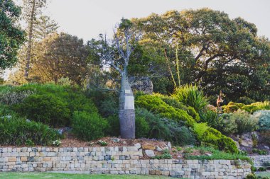 Sydney, Avustralya - 30 Aralık 2014: ayrıntılı olarak Sydney Cbd, liman ve Sydney Cbd gökdelenler ile bir park Kraliyet Botanik Bahçeleri