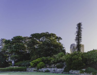 Sydney, Avustralya - 30 Aralık 2014: ayrıntılı olarak Sydney Cbd, liman ve Sydney Cbd gökdelenler ile bir park Kraliyet Botanik Bahçeleri