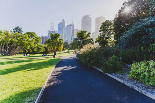 Sydney, Avustralya - 30 Aralık 2014: ayrıntılı olarak Sydney Cbd, liman ve Sydney Cbd gökdelenler ile bir park Kraliyet Botanik Bahçeleri