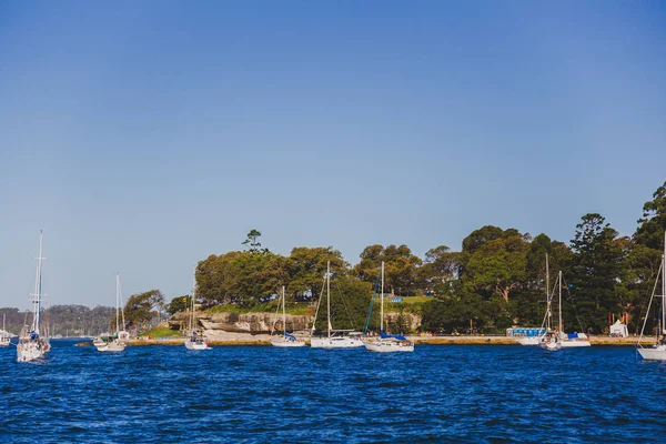 Sydney, Avustralya - 30 Aralık 2014: sahil görünümü üzerinden Kraliyet Botanik Bahçeleri olarak Sydney Cbd, liman ve Sydney Cbd gökdelenler bir Parkı