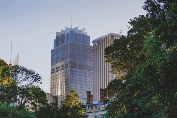 Sydney, Avustralya - 30 Aralık 2014: ayrıntılı olarak Sydney Cbd, liman ve Sydney Cbd gökdelenler ile bir park Kraliyet Botanik Bahçeleri