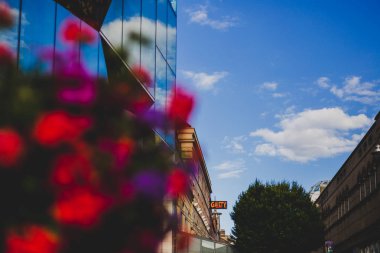 Dublin, İrlanda - 7 Temmuz 2018: King street Dublin detay odaklı bir çiçek yükleme bokeh efektli arkasından ateş neşesi tiyatro işareti