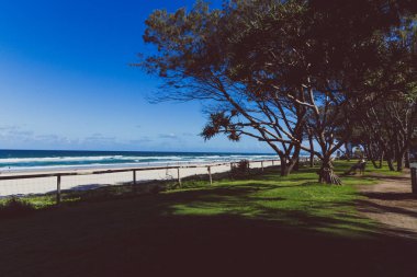 Gold Coast, Avustralya - 6 Ocak 2015: yeşillik surfers Paradise bozulmamış plaj önünde