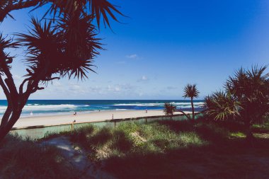 Gold Coast, Avustralya - 6 Ocak 2015: plaj ve yeşilliklerle görünümünden Surfers Paradise ana deniz yürüme