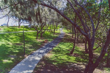 Gold Coast, Avustralya - 7 Ocak 2015: Surfers Paradise bir parkta tropikal yeşilliklerle çevrili yolu