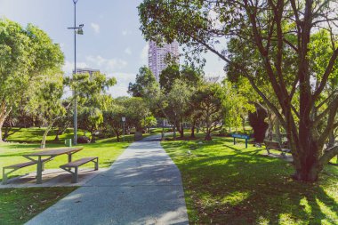 Gold Coast, Avustralya - 7 Ocak 2015: ayrıntı görünümü Surfers Paradise Les Rodgers Memorial Park tropik bitkiler ve ağaçlar