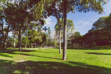 Gold Coast, Avustralya - 7 Ocak 2015: ayrıntı görünümü Surfers Paradise Les Rodgers Memorial Park tropik bitkiler ve ağaçlar