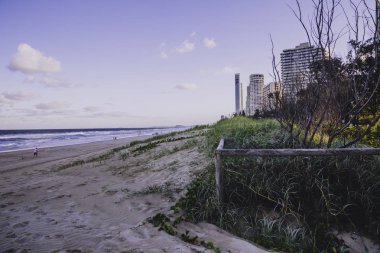 Gold Coast, Avustralya - 7 Ocak 2015: görünümü ana Beach Gold Coast, alan özellikleri altın kum ve yüksek katlı binalar Pasifik Okyanusu'na bakan 