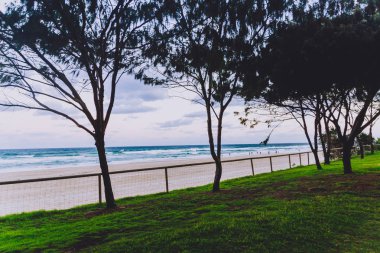 Gold Coast, Avustralya - 7 Ocak 2015: giriş yolu Surfers Paradise Beach yanındaki yeşillik ile