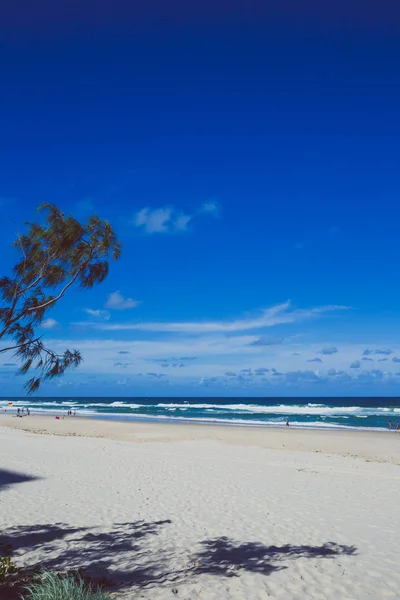 Gold Coast Austrália Janeiro 2015 Praia Surfers Paradise Com Areia — Fotografia de Stock