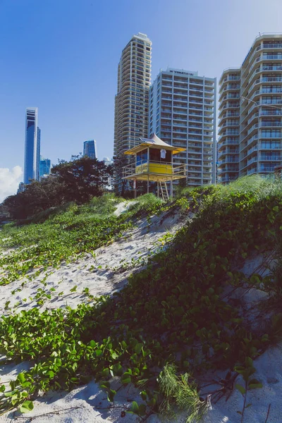 Gold Coast Ausztrália Január 2015 Életmentő Kunyhóban Strand Távolban Felhőkarcolók — Stock Fotó