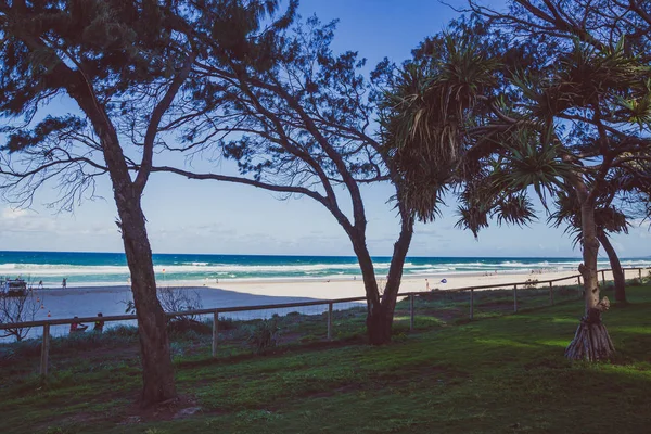 Gold Coast Australia January 6Th 2015 Greenery Front Pristine Beach — Stock Photo, Image