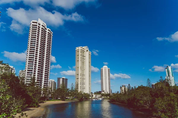 Guldkusten Australien Januari 2015 Tropiska Träd Och Höghus Surfers Paradise — Stockfoto