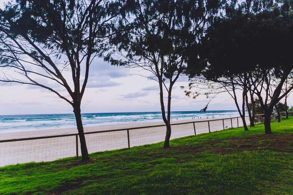 Gold Coast Itävalia Tammikuuta 2015 Sisäänkäynti Rannalle Surfers Paradise Vehreydellä — kuvapankkivalokuva