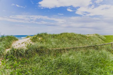 Gold Coast, Avustralya - 14 Ocak 2015: Surfers Paradise beach ve yeşil alanda