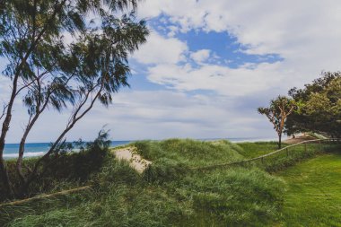 Gold Coast, Avustralya - 14 Ocak 2015: Surfers Paradise beach ve yeşil alanda