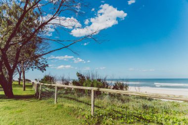 Gold Coast, Avustralya - 15 Ocak 2015: tropikal bitki ve yeşil kum yanındaki ile Surfers Paradise beach bozulmamış