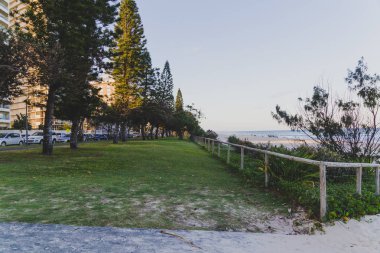 Gold Coast, Avustralya - 16 Ocak 2015: tropikal ağaçlar ve Surfers Paradise beach erişim yolu