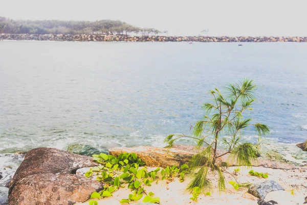 Gold Coast Australia January 8Th 2015 View Stradbroke Island Spit — Stock Photo, Image