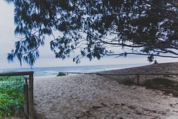 Gold Coast Australia January 14Th 2015 View Main Beach Gold — Stock Photo, Image