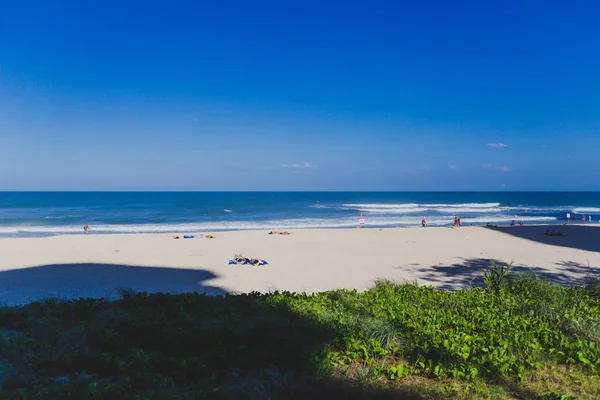 Costa Oro Australia Gennaio 2015 Spiaggia Incontaminata Surfers Paradise Con — Foto Stock