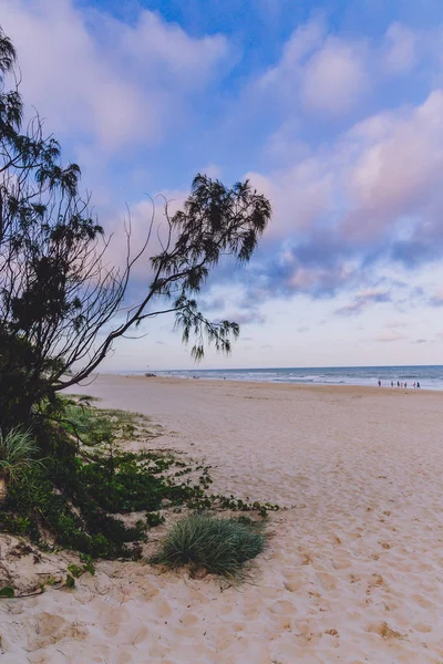 Gold Coast Austrália Janeiro 2015 Praia Intocada Surfers Paradise Com — Fotografia de Stock