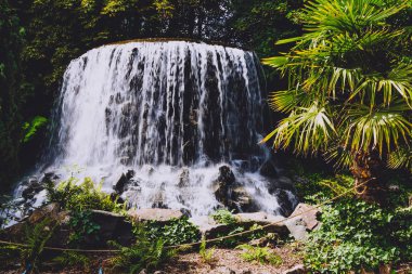 Dublin, İrlanda - 4 Ağustos 2018: görünüm Iveagh bahçeleri şelale Dublin şehir merkezinde tam yaz aylarında vurdu