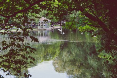 Dublin, İrlanda - 4 Ağustos 2018: St. Stephen's Green park Dublin şehir merkezinde tam yaz aylarında vurdu detayını