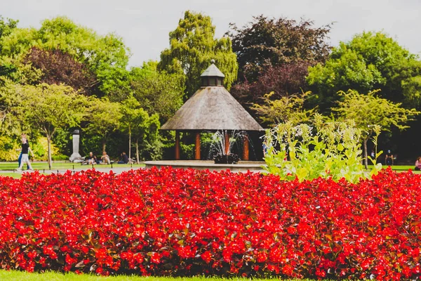 Dublin Irlanda Agosto 2018 Detalhe Parque Verde Santo Estêvão Centro — Fotografia de Stock