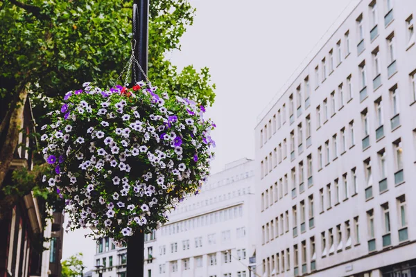 London United Kingdom August 2018 Architektur London City Center Mayfair — Stockfoto