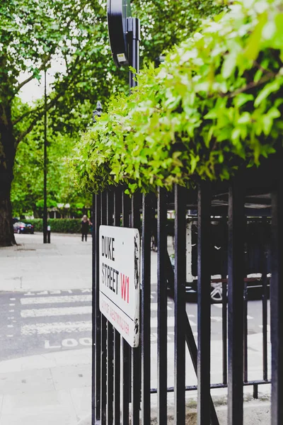 London Egyesült Királyság 2018 Augusztus Gyönyörű London Kerítések Virág Dekor — Stock Fotó