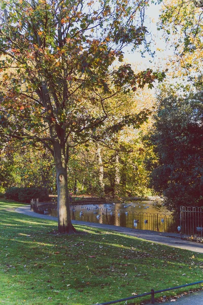 Dublín Irlanda Octubre 2018 Vista Del Parque Stephen Green Centro — Foto de Stock