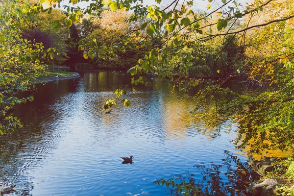 Dublin Irlanda Outubro 2018 Vista Parque Verde Santo Estêvão Centro — Fotografia de Stock