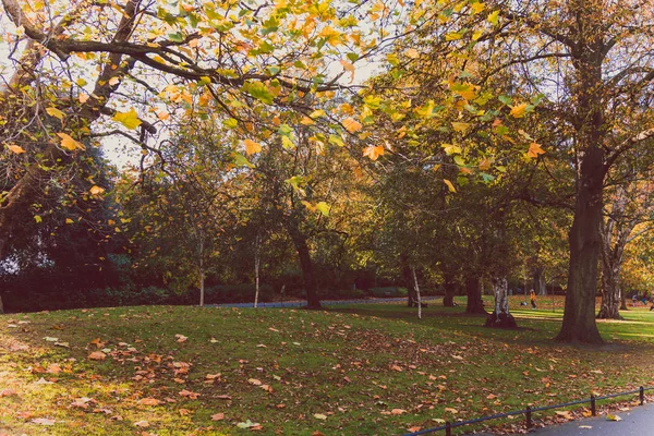 初秋にダブリン市内中心部の聖スティーブンの緑豊かな公園のダブリン アイルランド 2018 ビュー — ストック写真
