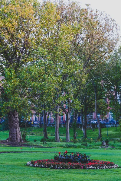 Dublin Irland Oktober 2018 Blick Auf Den Merrion Square Park — Stockfoto