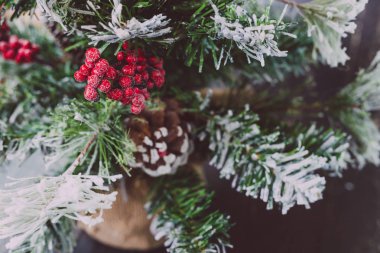 kar ökseotu ve çam ile küçük Noel ağacının ayrıntı koni süslemeleri, rahat hissediyor şenlikli kış tatili