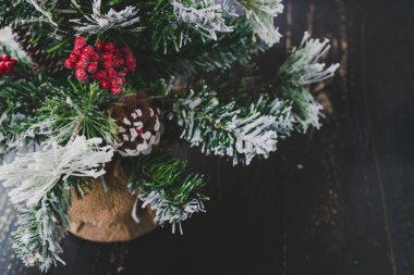 kar ökseotu ve çam ile küçük Noel ağacının ayrıntı koni süslemeleri, rahat hissediyor şenlikli kış tatili