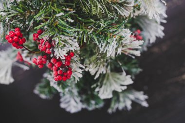 kar ökseotu ve çam ile küçük Noel ağacının ayrıntı koni süslemeleri, rahat hissediyor şenlikli kış tatili