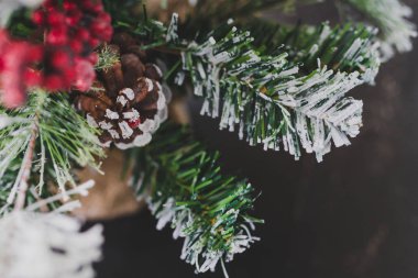 kar ökseotu ve çam ile küçük Noel ağacının ayrıntı koni süslemeleri, rahat hissediyor şenlikli kış tatili