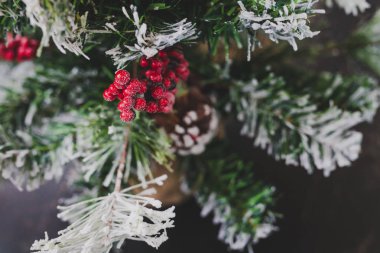 kar ökseotu ve çam ile küçük Noel ağacının ayrıntı koni süslemeleri, rahat hissediyor şenlikli kış tatili