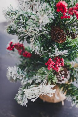 Çam kozalakları ve mistletoes ile Noel ağacı meyveleri ve ipuçları kar dalları üzerinde rahat hissediyor şenlikli kış tatili