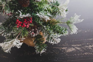 Çam kozalakları ve mistletoes ile Noel ağacı meyveleri ve ipuçları kar dalları üzerinde rahat hissediyor şenlikli kış tatili