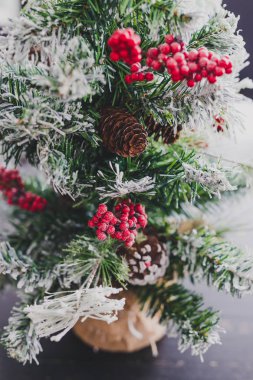 Çam kozalakları ve mistletoes ile Noel ağacı meyveleri ve ipuçları kar dalları üzerinde rahat hissediyor şenlikli kış tatili