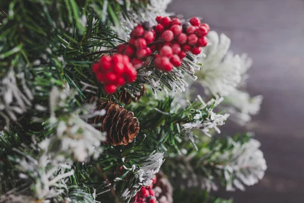 Karácsonyfa Fenyő Kúpok Mistletoes Bogyós Gyümölcsök Tanácsok Ágak Hangulatos Ünnepi — Stock Fotó